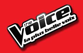 Pourrir la langue : The Voice, de TF1