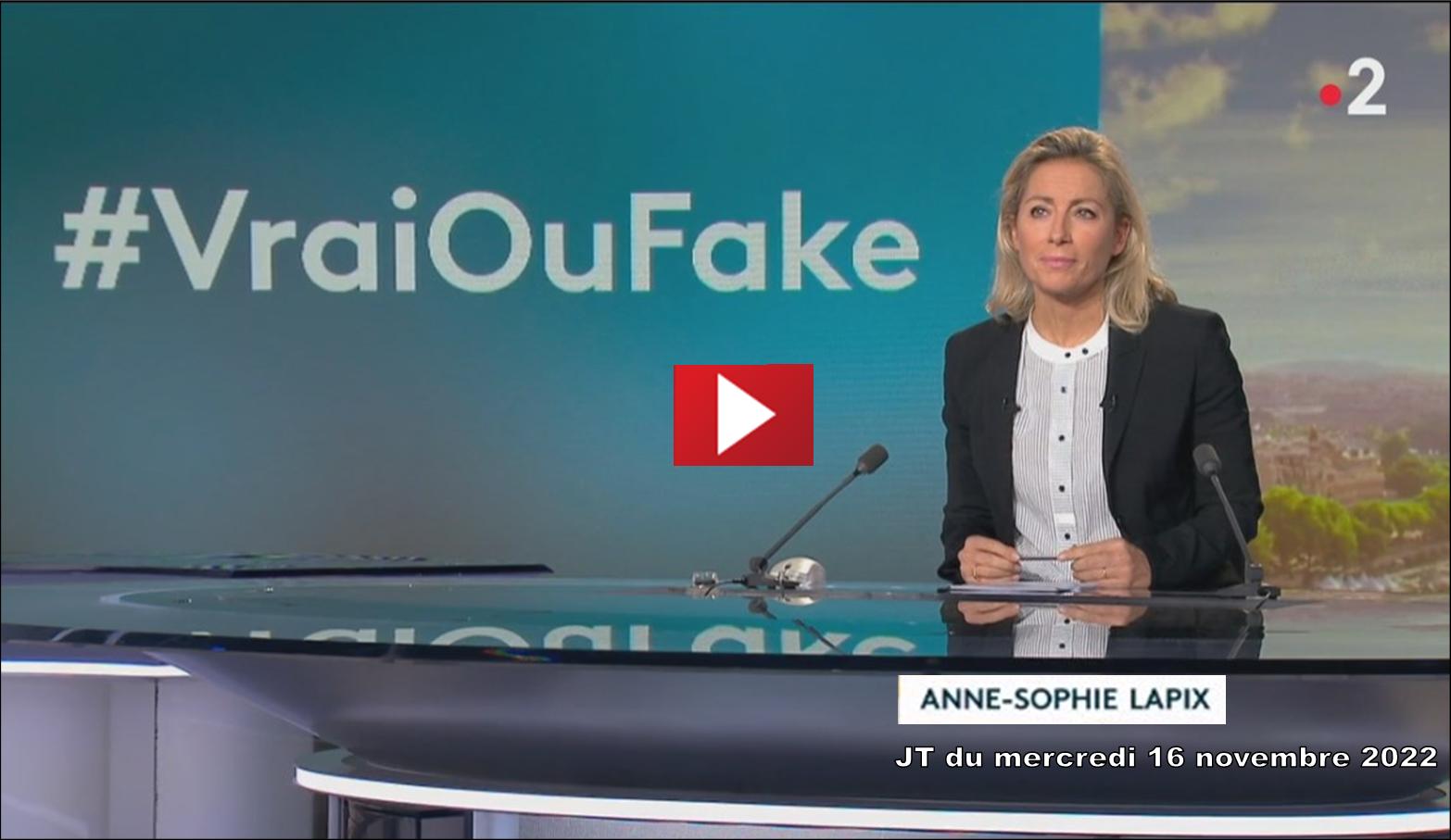 Anne-Sophie Lapix et le Vrai ou Fake au JT de 20h de France 2