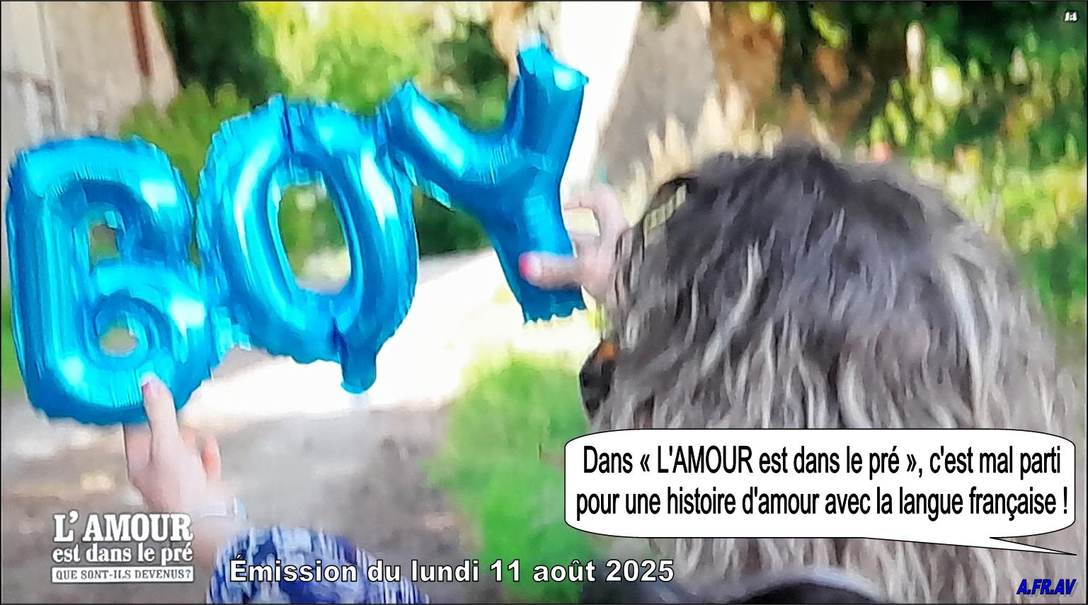L'AMOUR est dans le pré, Karine Le Marchand, chansons en anglais, langue française