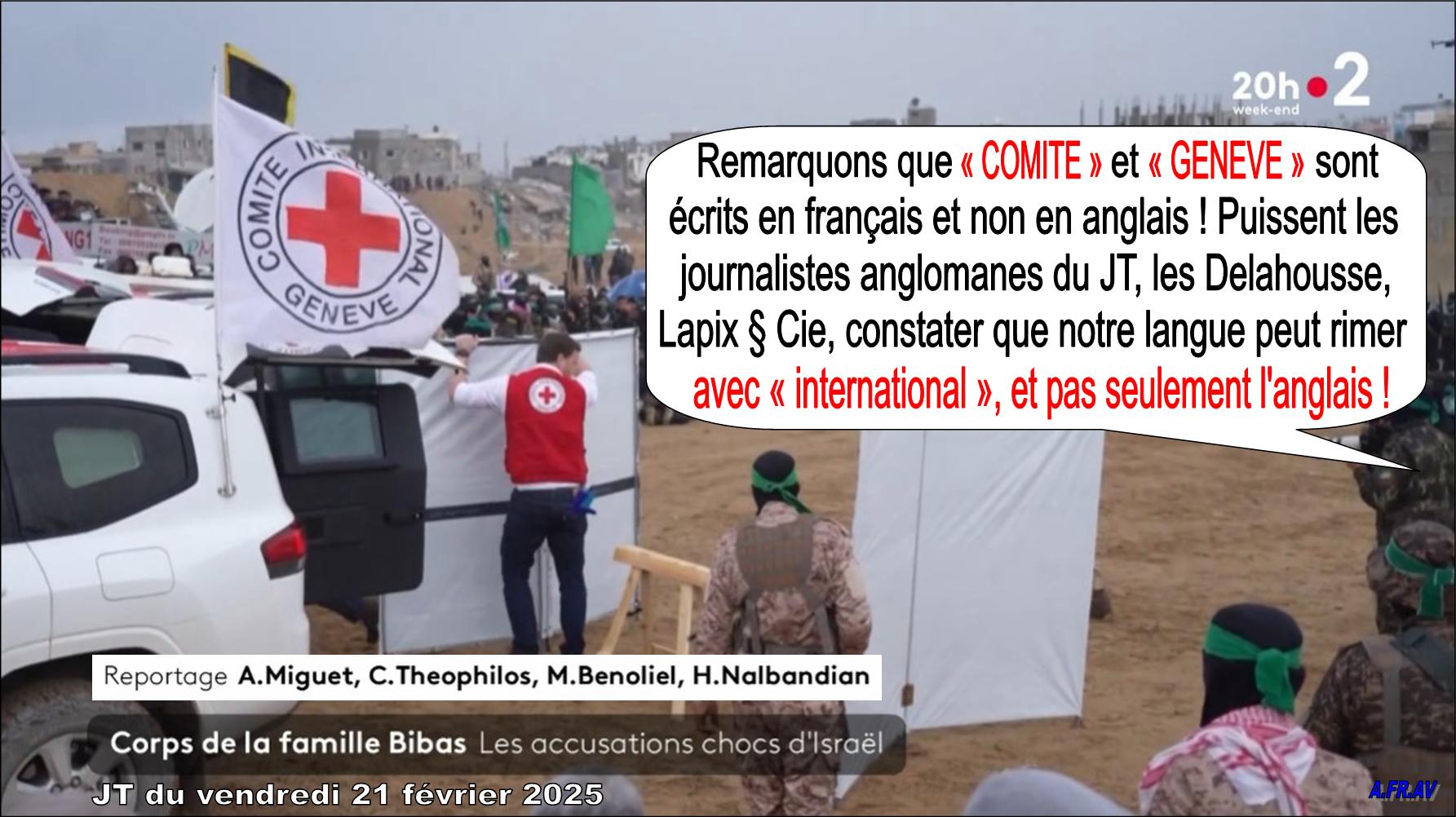 GENEVE COMITE INTERNATIONAL, Gaza, 20 heures, France 2