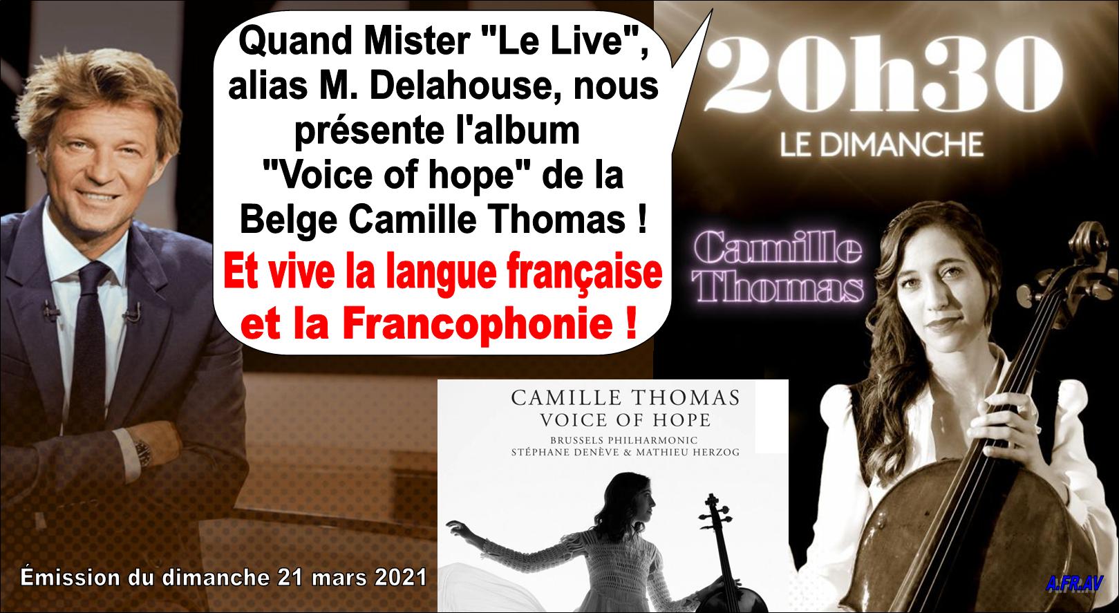 Laurent Delahousse et Camille Thomas, Voice of Hope sur France Télévisions