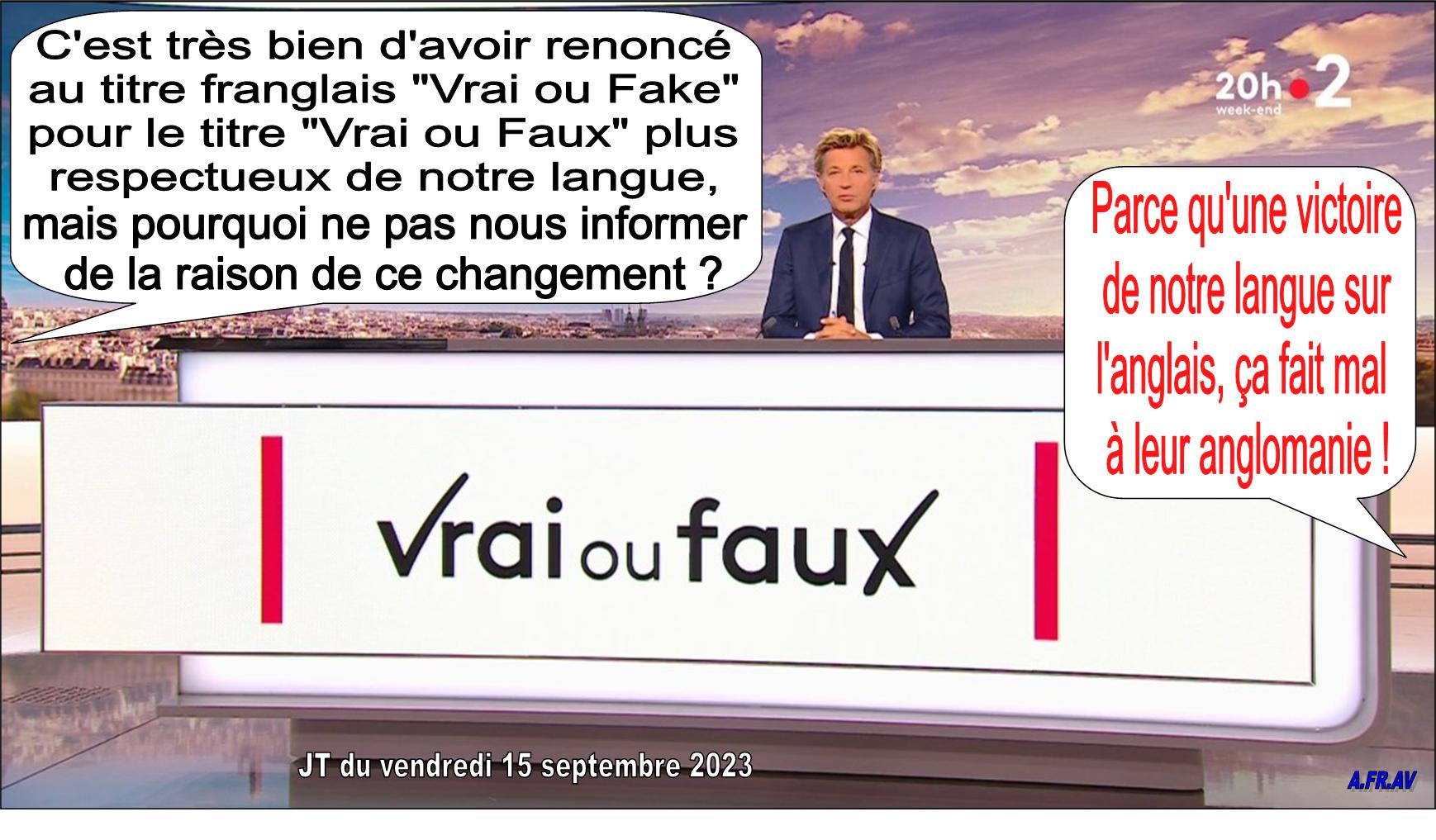 Laurent Delahousse, journaliste anglomane du JT de 20h de France 2 et le Vrai ou Fake devenu le Vrai ou Faux