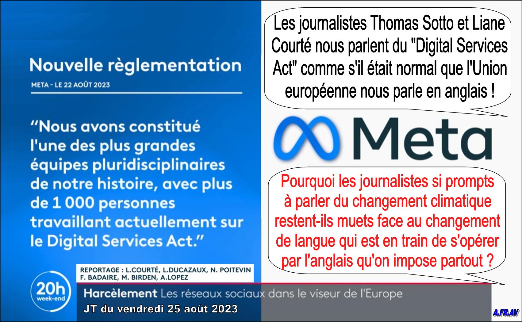 Liane Courté, Thomas Sotto, Digital Services Act, 20h de France 2, France Télévisions