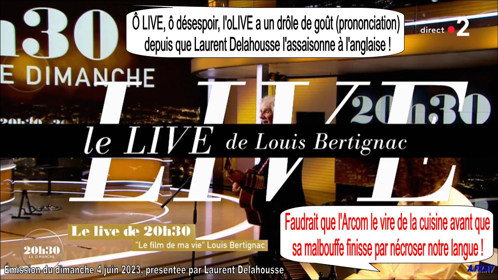 Louis Bertignac, Laurent Delahousse, le direct du 20h30 le Dimanche