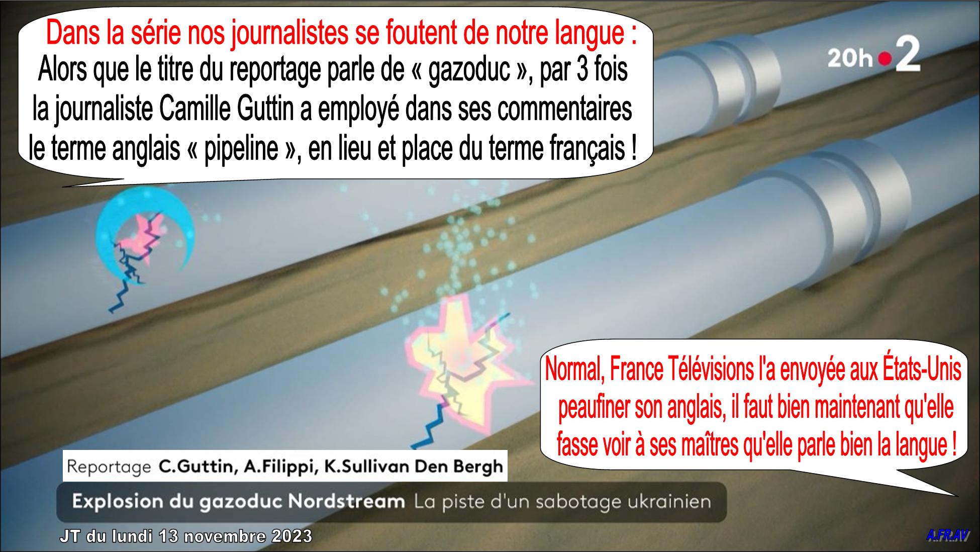 /images/afrav/Pas de Gazoduc pour Camille Guttin, journaliste au JT de 20 heures de France 2